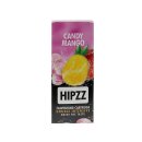 HIPZZ MENTHOL Aroma Card / Aroma-Karten für Zigaretten 20er Box