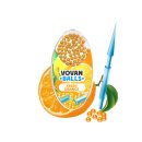 VoVan Aromaballs "Fresh Orange" 1 Packung mit...